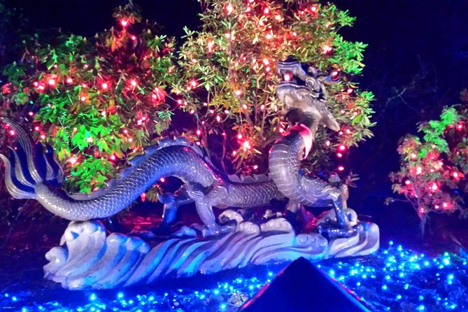 1 hour City Tour & Butchart Gardens: Christmas - Entry included! - The 2:30 pm start and Victoria city tour