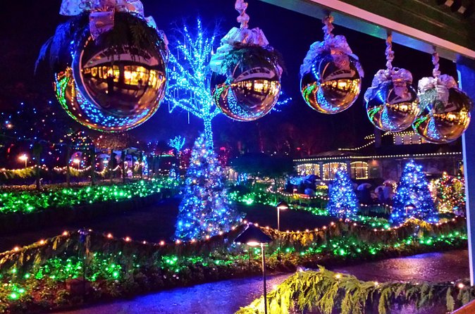 1 hour City Tour & Butchart Gardens: Christmas - Entry included! - How the $100.22 price measures up