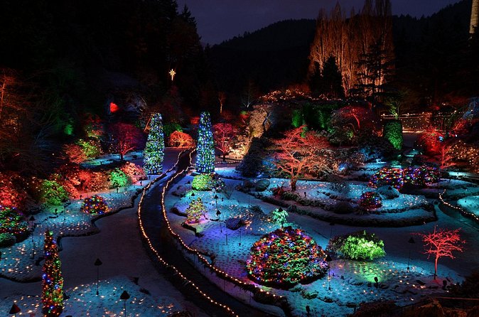 1 hour City Tour & Butchart Gardens: Christmas - Entry included! - Pickup details that can make or break the evening