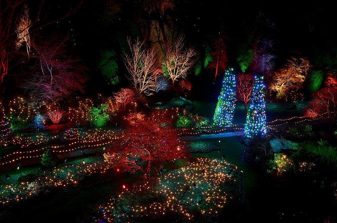 1 hour City Tour & Butchart Gardens: Christmas - Entry included! - Weather, walking, and family considerations