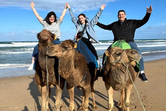 3 Days 2 Nights Christmas Getaway in Tangier & Chefchaouen - Christmas dinner, wine, and Tangier nightlife