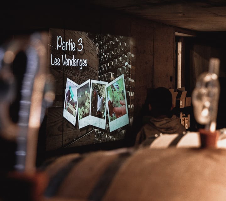 Alsatian Christmas Immersive Wine Tour with Wine Tasting - Should you book it?