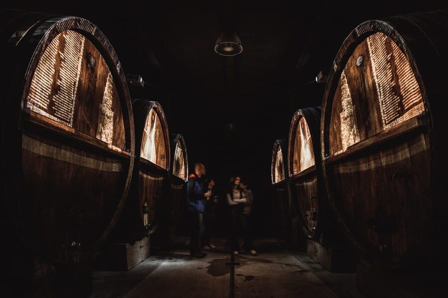 Alsatian Christmas Immersive Wine Tour with Wine Tasting - The 1850 barrels and the cellar presentation
