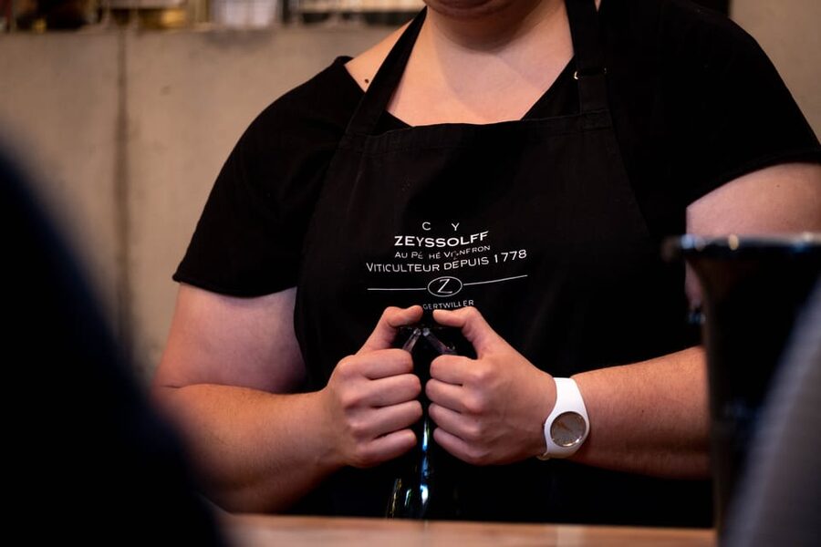 Alsatian Christmas Immersive Wine Tour with Wine Tasting - Who should book this Zeyssolff experience?