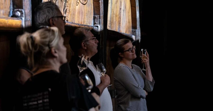 Alsatian Christmas Immersive Wine Tour with Wine Tasting - The 75-minute tour, from wine facts to family traditions