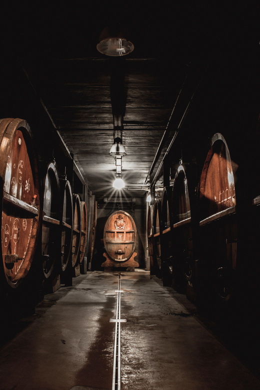 Alsatian Christmas lunch with Immersive wine cellar tour - Five wines from Alsace