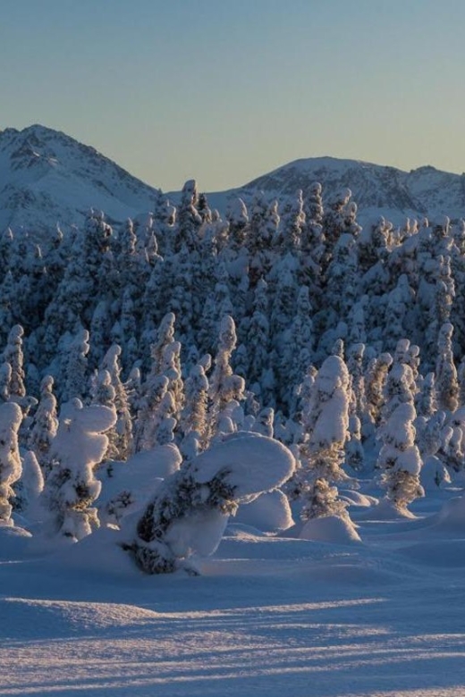 Anchorage: Winter Wonderland Photo Tour - Who will enjoy this outing most