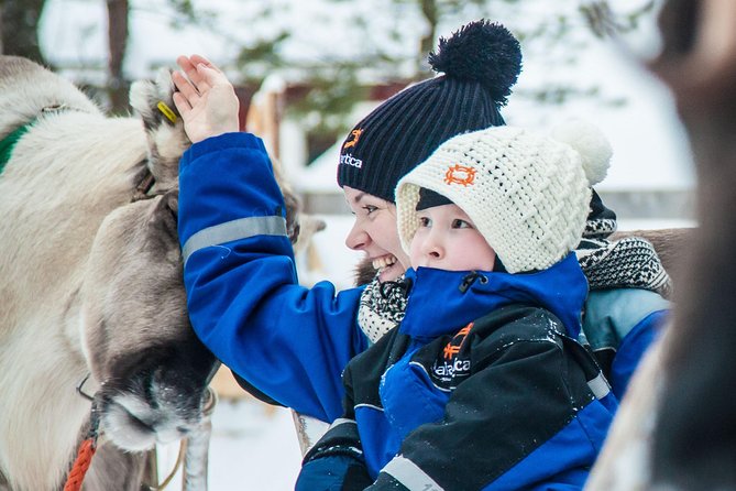 Arctic Delight - Visit to Santa's Village and snowmobiling to reindeer farm - The reindeer farm and short sleigh ride