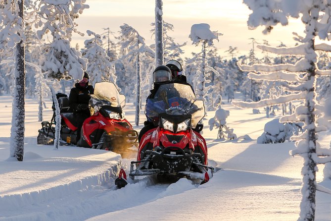 Arctic Delight - Visit to Santa's Village and snowmobiling to reindeer farm - Is the $295.82 price fair?