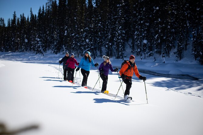 Banff, Lake Louise and Johnston Canyon - Winter Wonderland Tour - What the $180.96 price really covers