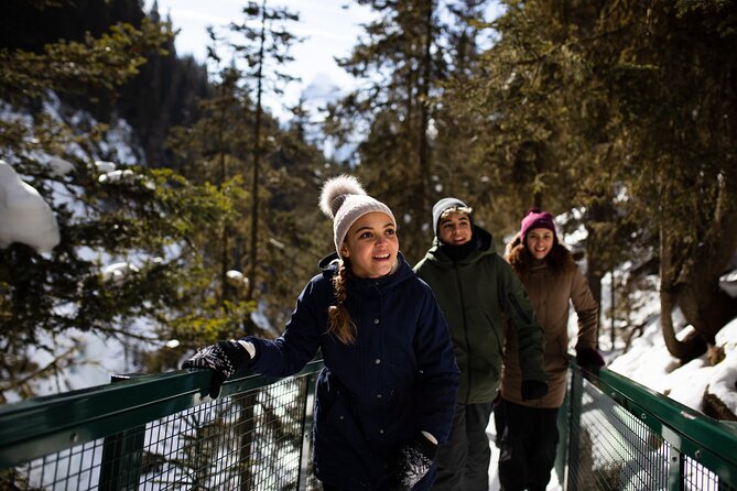 Banff, Lake Louise and Johnston Canyon - Winter Wonderland Tour - How the day feels for different types of visitors