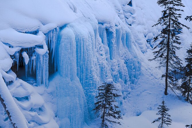 Banff, Lake Louise and Johnston Canyon - Winter Wonderland Tour - Booking, weather, and cancellation details