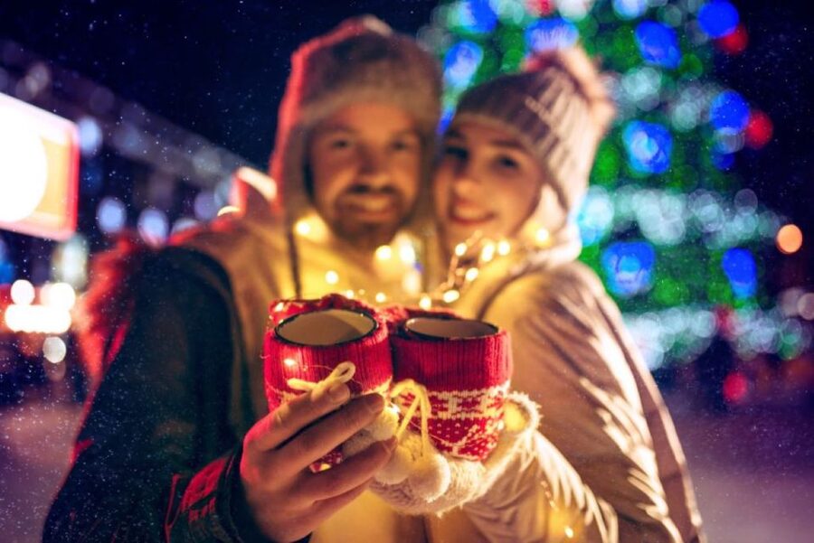Bonn: Winter Christmas tour by boat - A Christmas cruise that keeps things easy