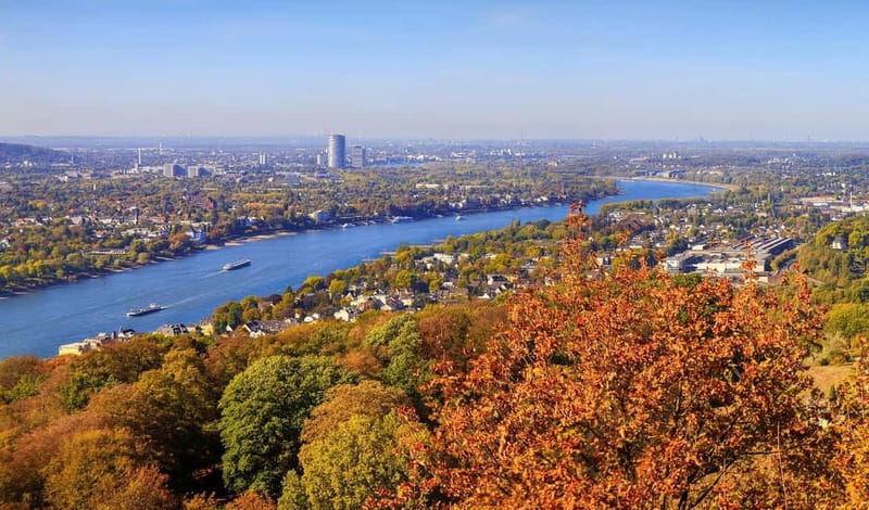 Bonn: Winter tour by boat with mulled wine - Should you book the Bonn winter cruise?