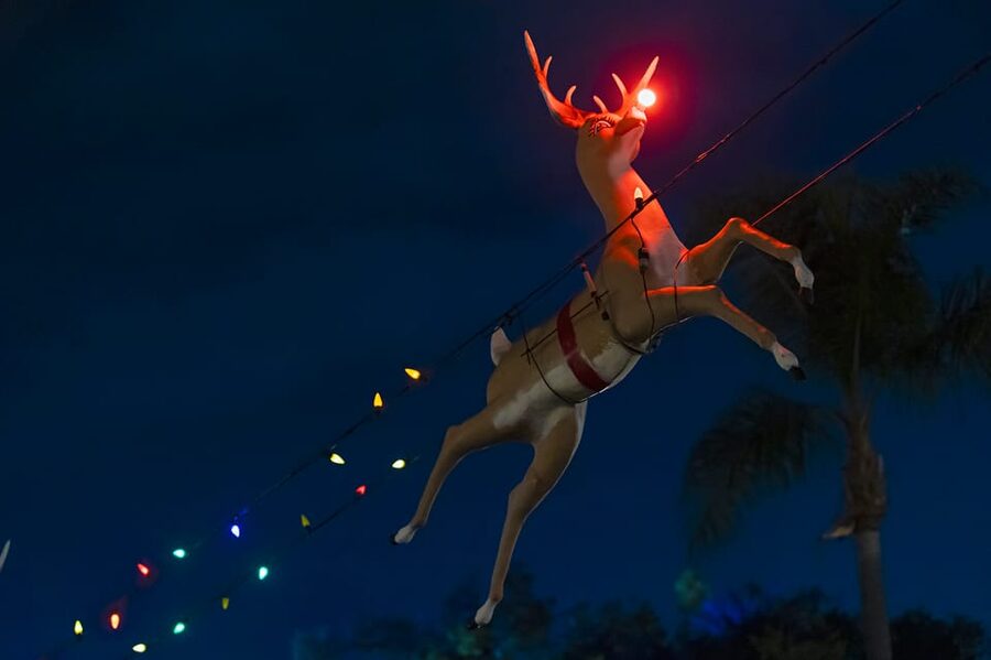Boston: Holiday Sights and Festive Nights Trolley Tour - A warm seat for Boston after dark