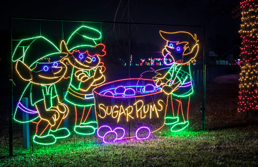 Branson: Lights of Joy Christmas Drive-Thru - The RGB tunnel is the feature to watch for