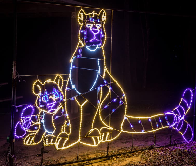 Branson: Lights of Joy Christmas Drive-Thru - Who will enjoy Lights of Joy most