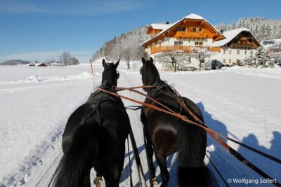 Christmas Horse-Drawn Sleigh/Carriage Ride from Salzburg