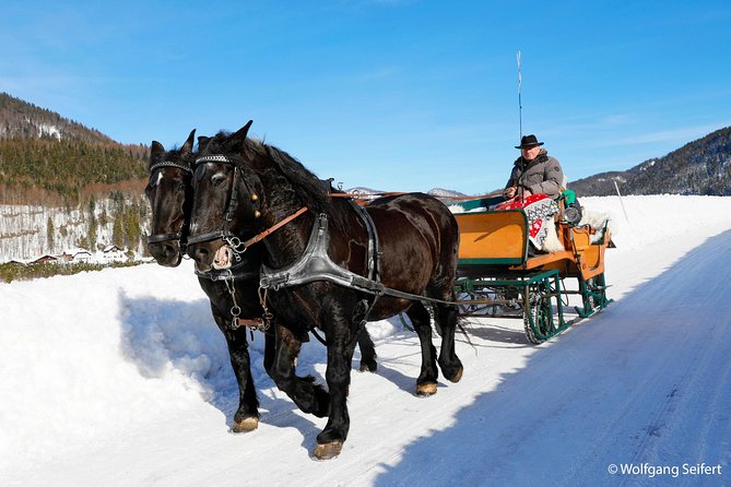 Christmas Horse-Drawn Sleigh/Carriage Ride from Salzburg - The return through Filzmoos
