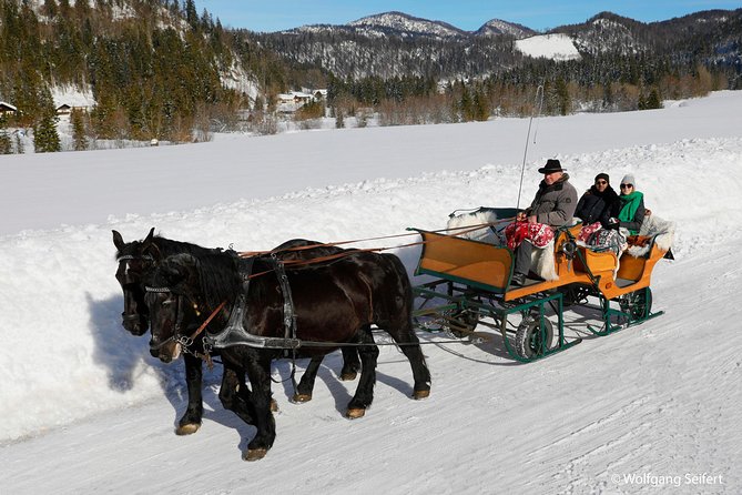 Christmas Horse-Drawn Sleigh/Carriage Ride from Salzburg - Is $151.23 a fair price?