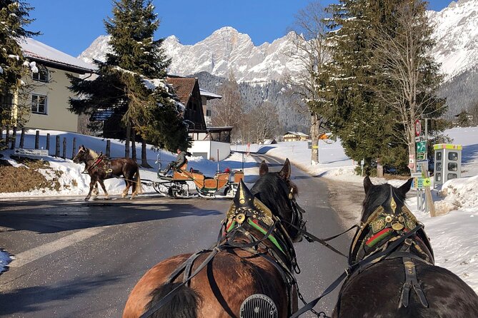 Christmas Horse-Drawn Sleigh/Carriage Ride from Salzburg - Who will enjoy this Salzburg winter day?