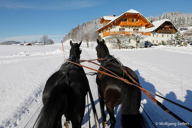 Christmas Horse-Drawn Sleigh/Carriage Ride from Salzburg - Lunch at a local inn, at your own expense