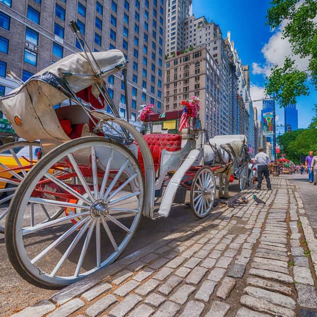 Christmas in Central Park: Horse Carriage Holiday Tour - Key points to know before you book