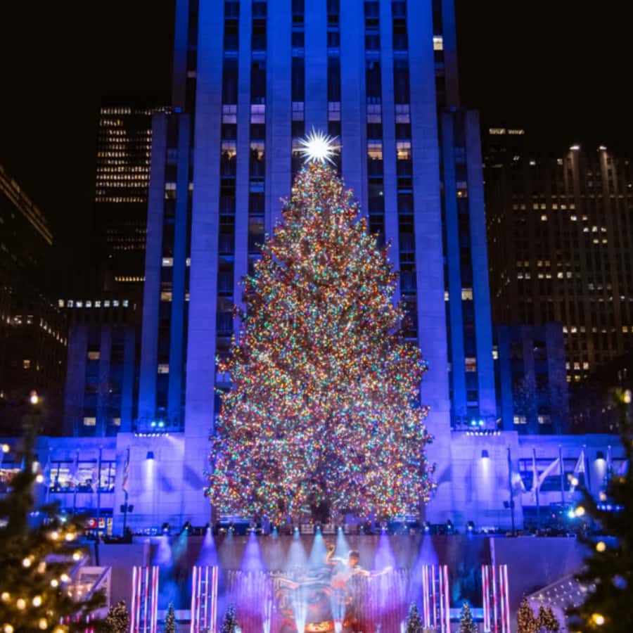 Christmas in New York: Pedicab Tour & Rockefeller Tree - Starting near Central Park South