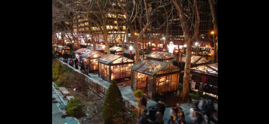 Christmas in New York: Skip-the-Line Holiday Lights Tour - What the guide adds to the ride