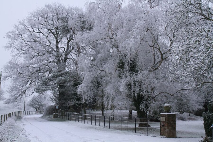 Christmas in Oxford, the Cotswolds and Stratford with Lunch - Why this Christmas Day outing makes sense
