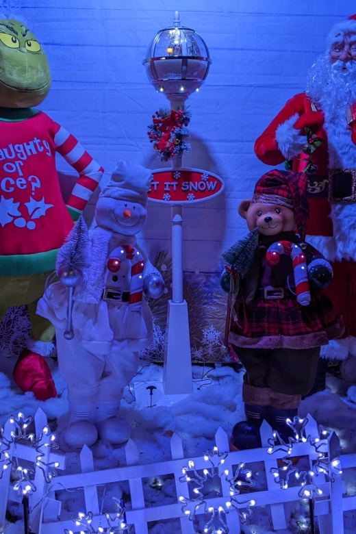 Christmas Light Night tour - Entering the Christmas-lit streets of Brooklyn