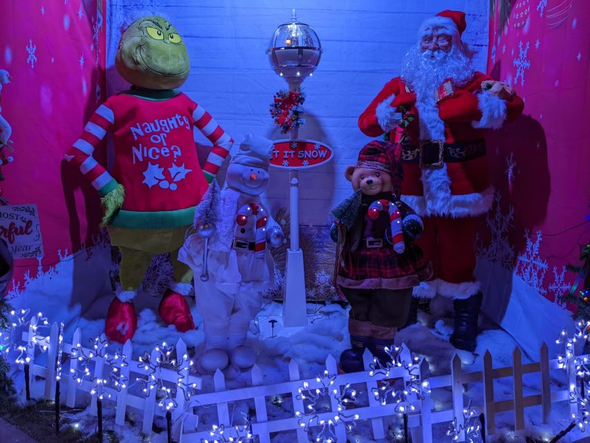 Christmas Light Night tour - Who will enjoy this tour most?