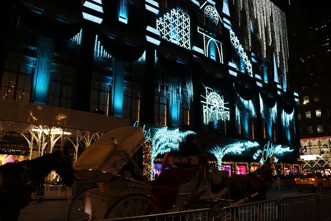 Christmas Light Private Carriage Ride New York City - Why the private format works well