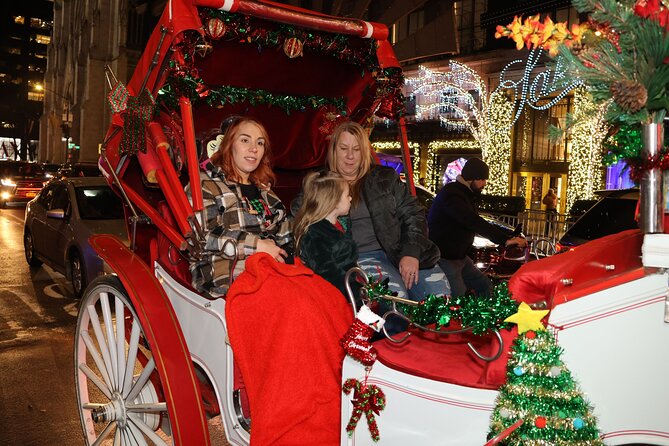 Christmas Light Private Carriage Ride New York City - Blankets, rain protection, and the horse