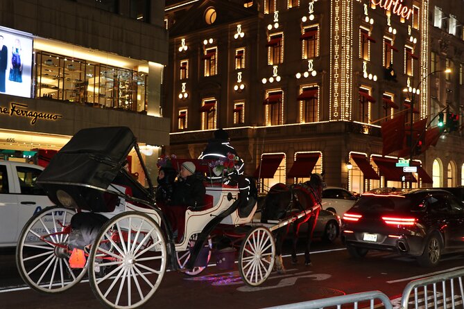 Christmas Light Private Carriage Ride New York City - Who will enjoy this most