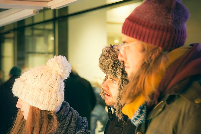 Christmas Market Vienna Tour - Four markets, four different moods