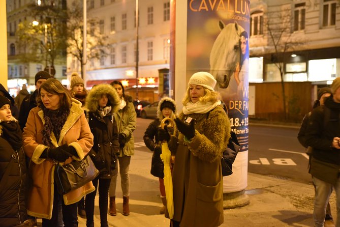 Christmas Market Vienna Tour - Cold streets, crowds, and the right clothing