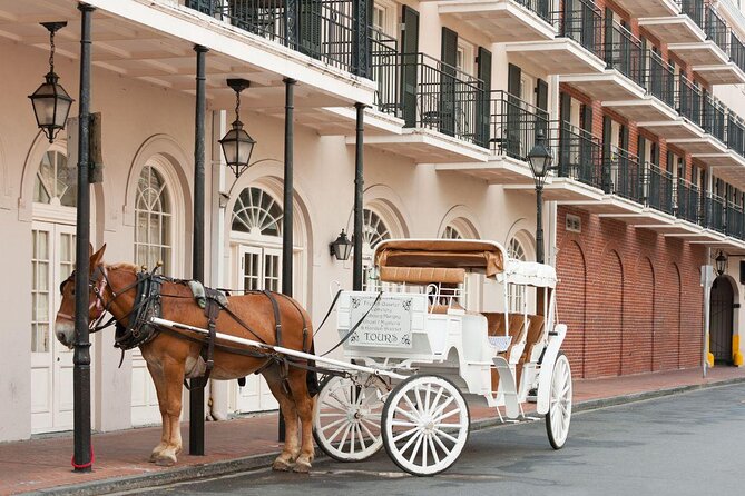 Christmas NOLA Style Walking Tour - St. Louis Cathedral and Jackson Square
