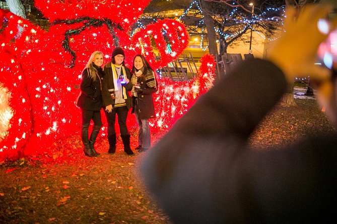 Christmas Past, Present and Future Light Tour in Milwaukee - Key points at a glance