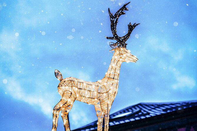 Christmas Walk Vienna : 5 Markets & Old Town in 3h (EN/DE) - MuseumsQuartier changes the mood