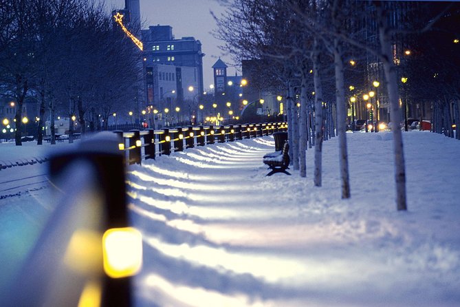 Christmas Walking Tour in Old Montreal - The guides make the difference