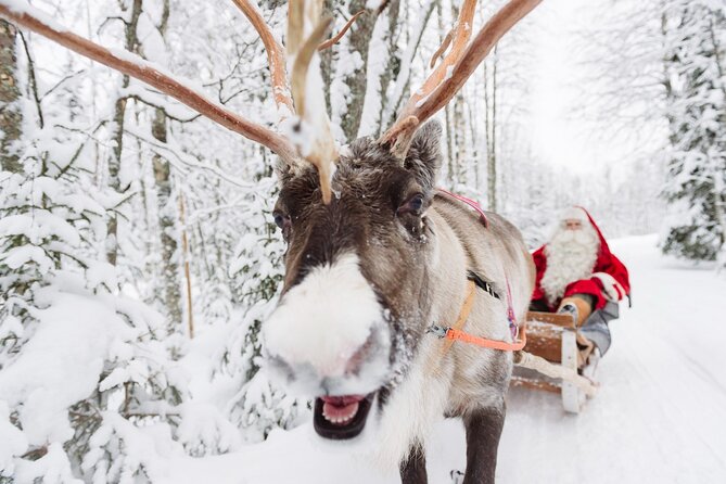 Daytour to Santa Claus Village, Reindeer and Husky Safaris, Photo, and Lunch - Meeting Santa inside his office