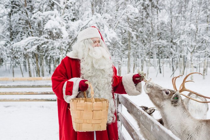 Daytour to Santa Claus Village, Reindeer and Husky Safaris, Photo, and Lunch - Sending a postcard from Santa’s Main Post Office