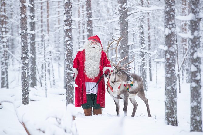 Daytour to Santa Claus Village, Reindeer and Husky Safaris, Photo, and Lunch - Husky Park and the 500-meter sled run