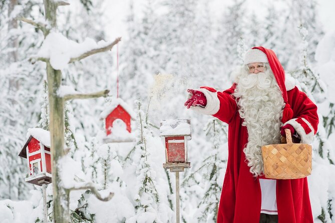 Daytour to Santa Claus Village, Reindeer and Husky Safaris, Photo, and Lunch - Lunch at Santa Claus Village