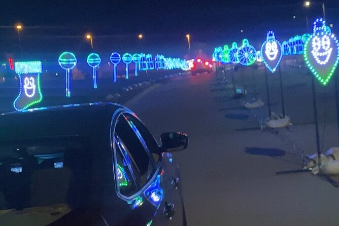 Drive through Christmas Lights Show - Who will enjoy this most