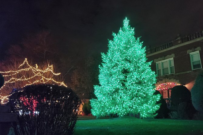 Dyker Heights Christmas Lights Guided Tour - Practical timing and booking advice