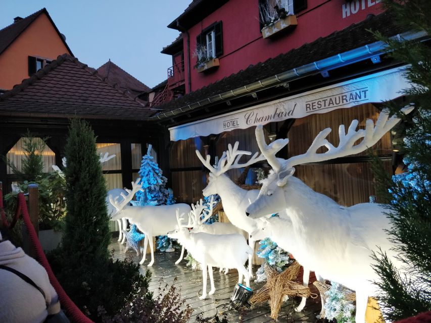 Enchanting Christmas Experience From Colmar - Why this Colmar Christmas day works so well