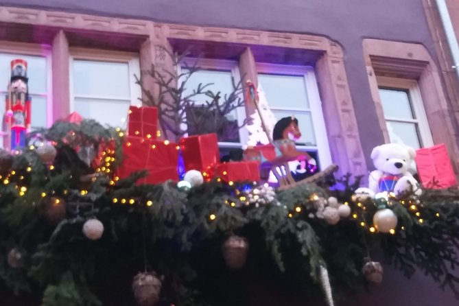 Experience the magic of Christmas in Riquewihr and Eguisheim! - Timing, food, children, and pets