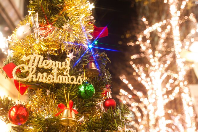 Experience the Magic of Christmas in Tokyo - Tokyo Christmas lights without the transport puzzle